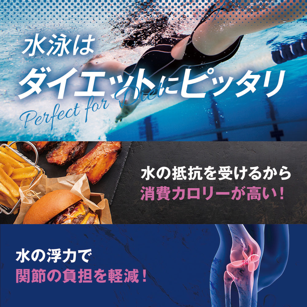 SPOXIA 競泳水着 グラデーション|フィットネス水着|カラダノミライ自然通販【公式】