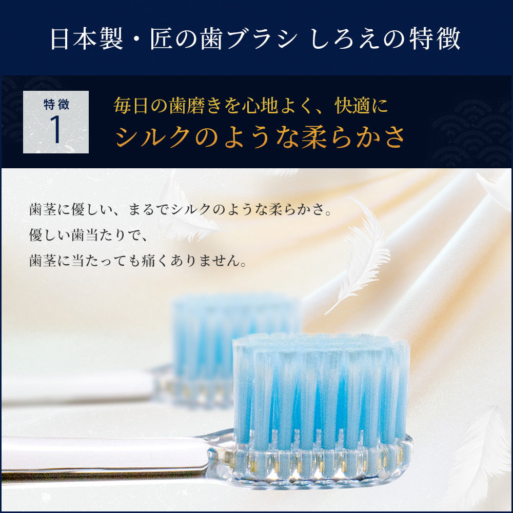 しろえ 歯ブラシ 2本セット｜カラダノミライ自然通販【公式】