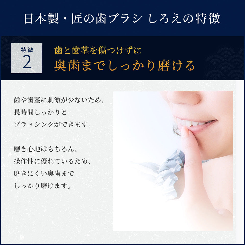 しろえ 歯ブラシ 2本セット｜カラダノミライ自然通販【公式】